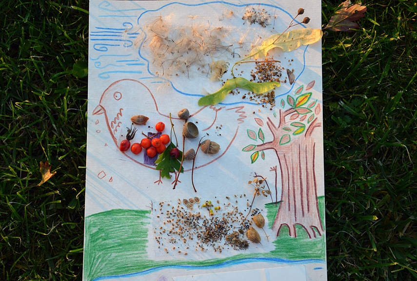 <p>Apie sėklas iš Raising Little Shoots. Rinkome sėklas, kurias išnešioja vėjas, išnešioja paukščiai ir žvėrys ir kurios pasisodina pačios. Dar turėjome surinkti vandens išnešiojamų, tačiau prie vandens taip ir nepriėjom. Sėklos priklijuotos dvipuse lipna juosta.</p>
