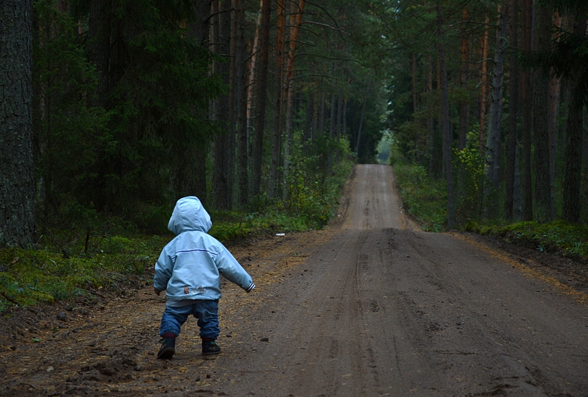 <p>Jauniausias miško mylėtojas</p>
