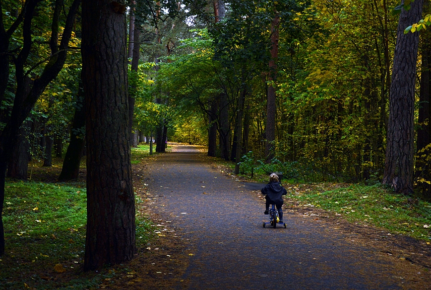 <p>Vingio parko keliukai - rojus mažiesiems dviratininkams</p>
