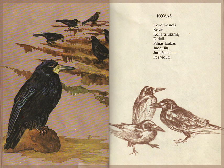 <p><span class="st">Česlovas Navakauskas &quot;Šiaušia kuodą jerubė&quot;</span></p>
