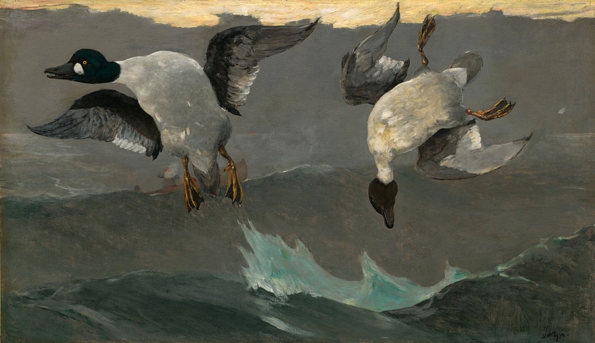 <p>1909 &quot;Dešinė ir kairė&quot;</p>

