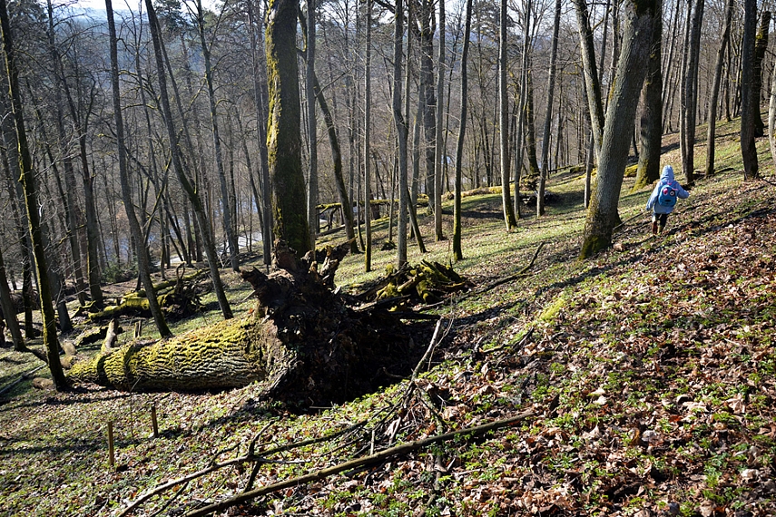 <p>Parko šlaitai - nuotykių mėgėjams</p>
