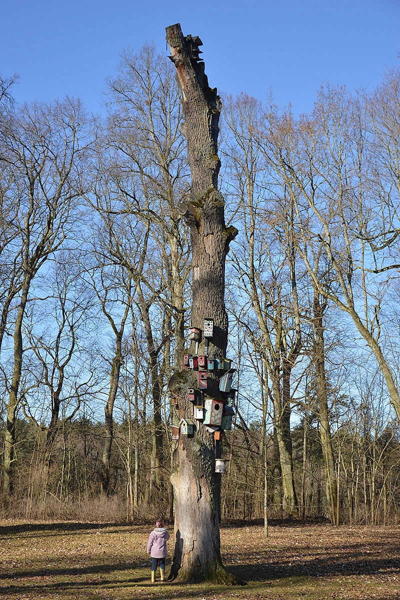 <p>Verkių parke</p>

