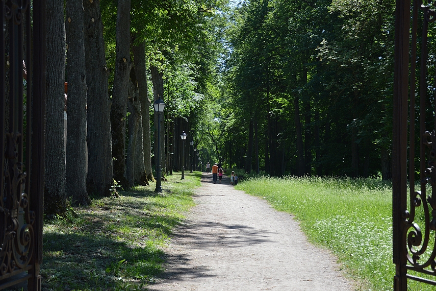 <p>Alėja. Vėsuma</p>
